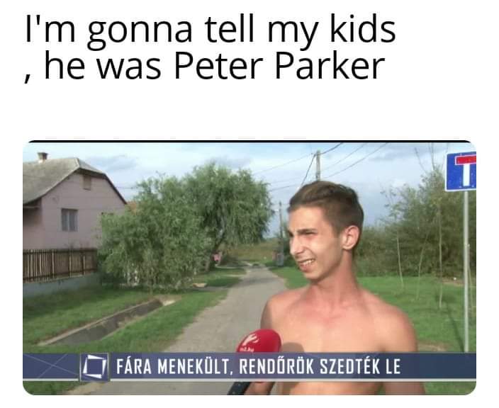 Pókembör