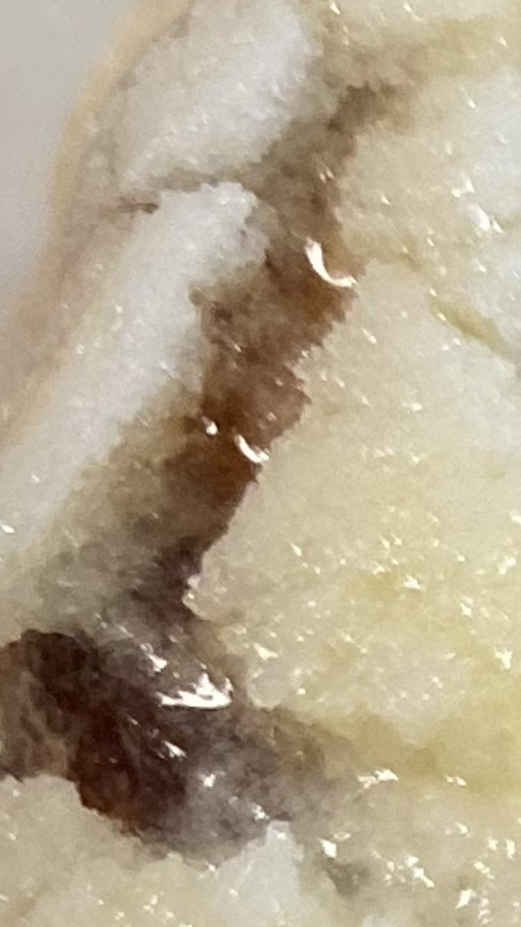 denn du schmeckst das
