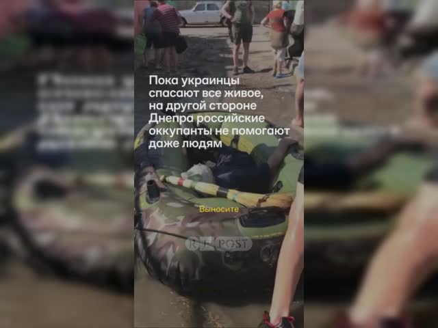 Как украинцы спасают животных.mp4