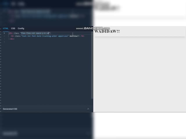 CSS