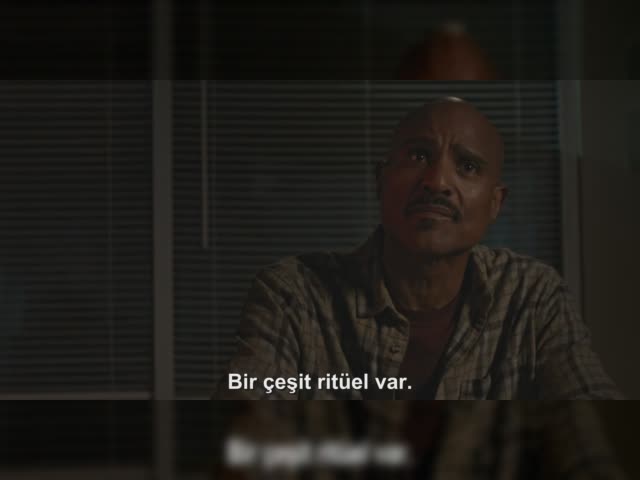 DiziFlix | Teen Wolf: The Movie