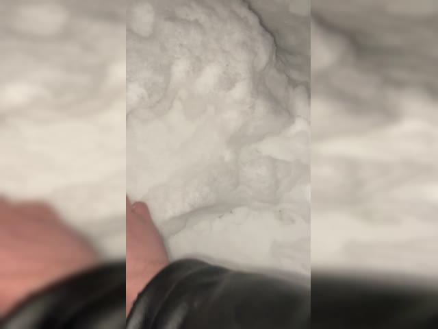 Начало поисков