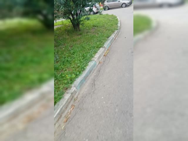 VID_20240823_151137.mp4