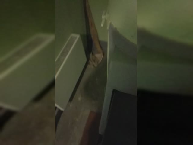 2024-01-20 13.10.10.mp4