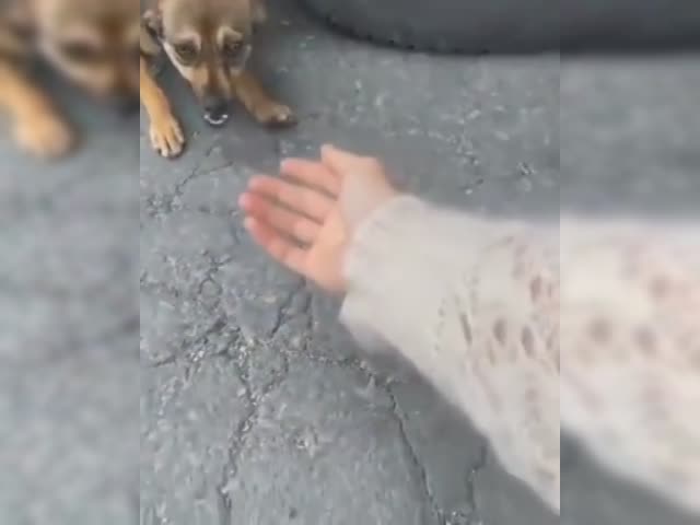 a6q7Obb_460sv.mp4