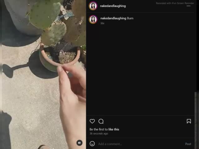 nalinstalive