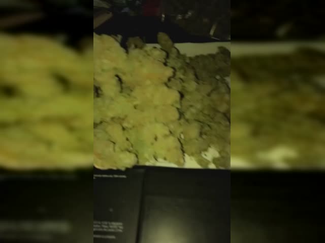 Lemon Haze|SwissPlug Proof