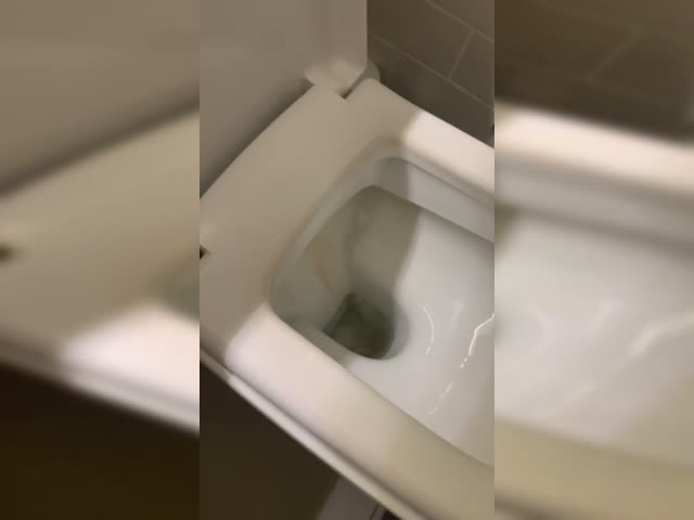 Toilet flush not working