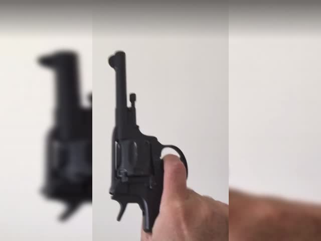 Nagant M1895