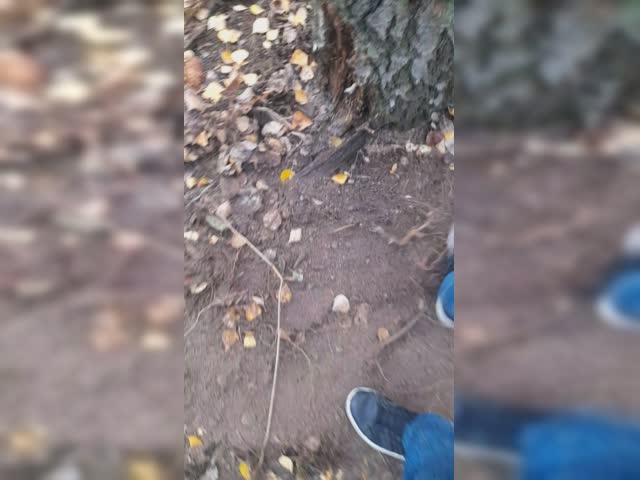 20221024_161239.mp4