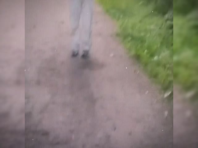 tiktok girl