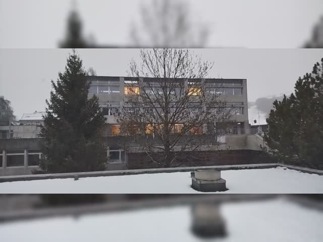 der erste Schnee
