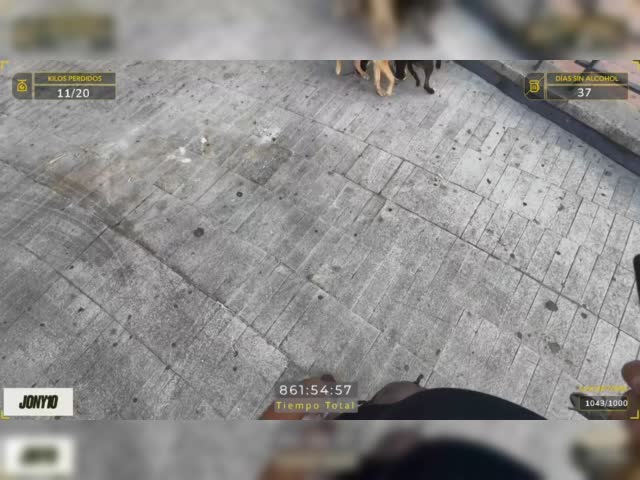 d22.mp4
