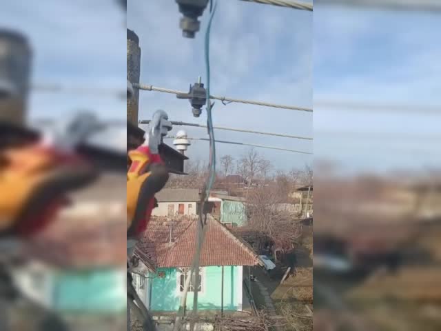 free electricity