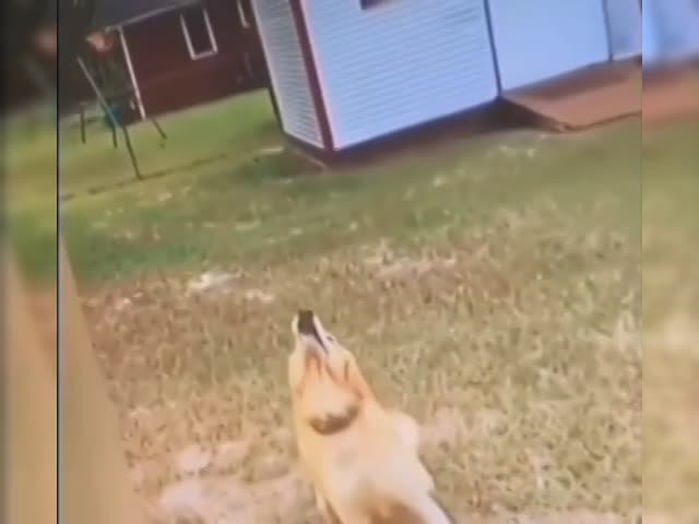 lost_.mp4
