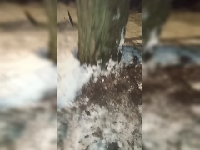 video_2023-12-31_01-05-05.mp4