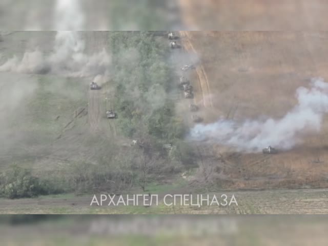 IMG_0773.mp4