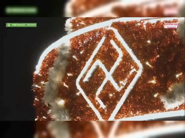 [Latvia] Christmas Tree decorated with Swastikas