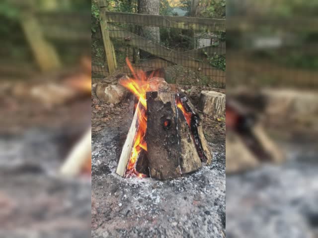 Stump Removal