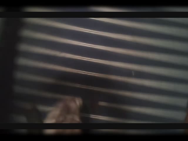 Train niarT