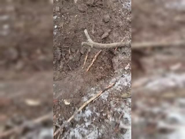 video_2023-03-02_16-49-54.mp4