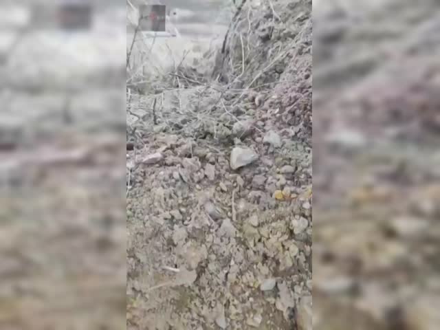 Four Ukrainian soldiers killed by their own men