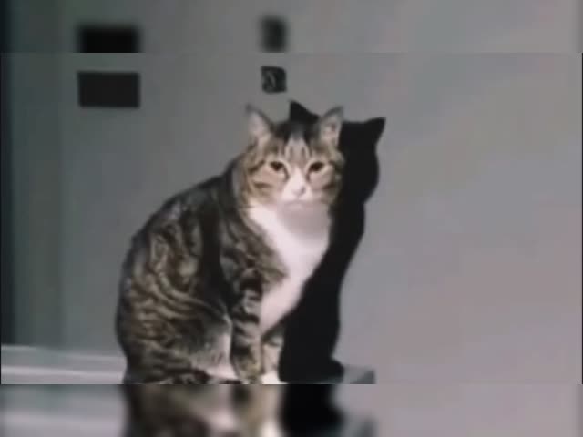 Ket_ten