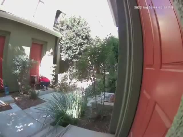 package thief