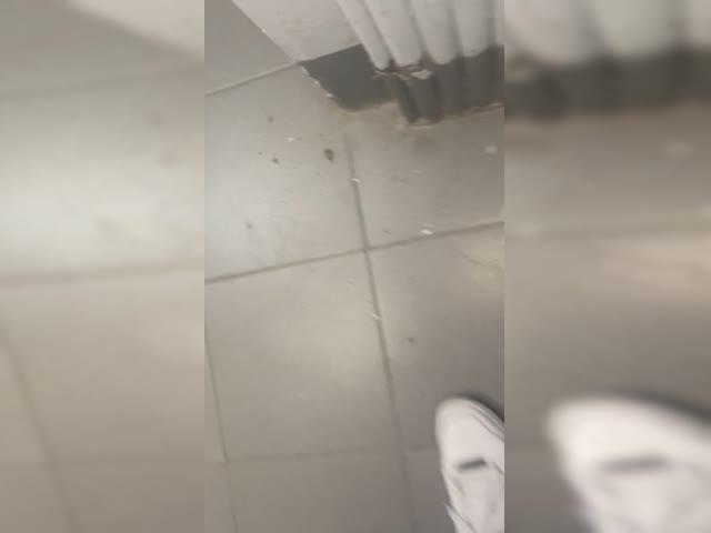 trim.BA1FEB5D-75DD-4EDE-8E33-BA39040A7E57.MOV