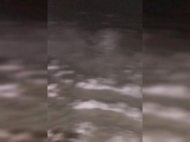 video140224.mp4