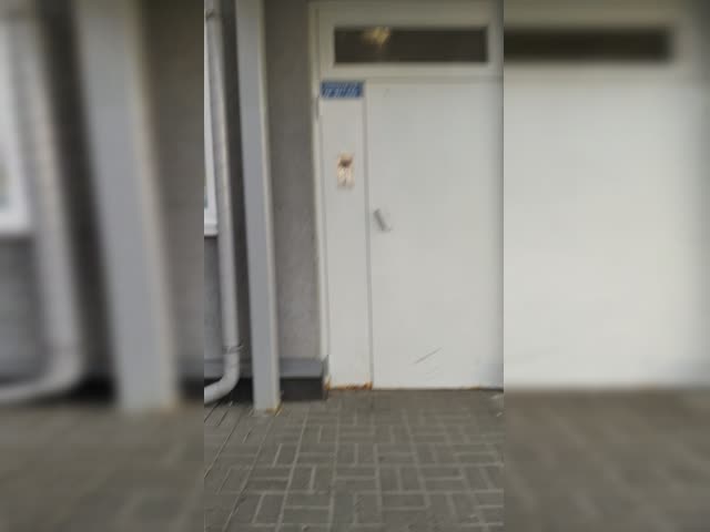 VID20240509180457.mp4