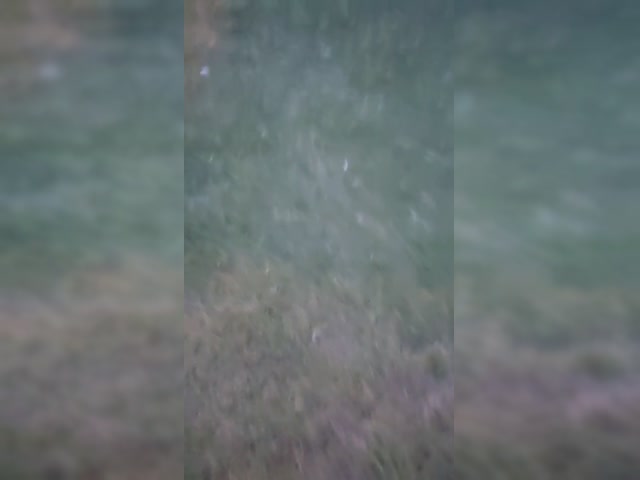 brok