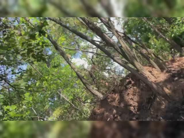 signal-2022-08-02-22-46-13-816.mp4