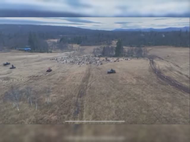 Rendrivning