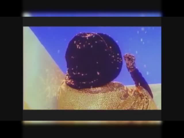 вид.wmv