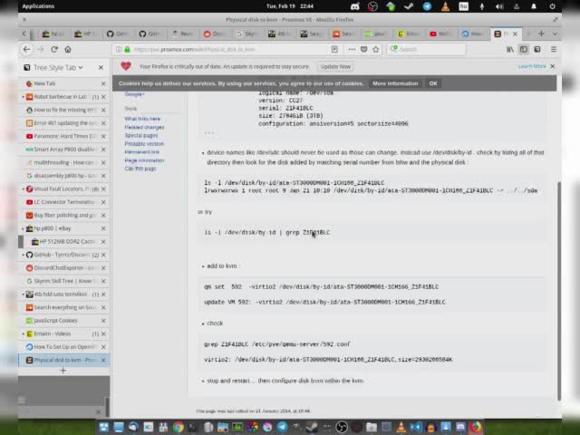 Proxmox Disk pass through