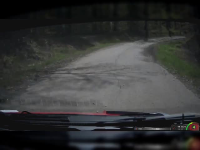 SS12 Vinski Vrh - Duga Resa, Sebastian Ogier POV