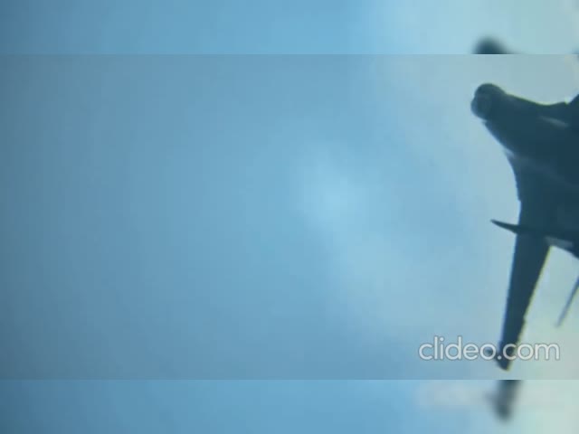 meme jet