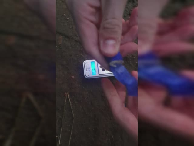 20230904_201724.mp4