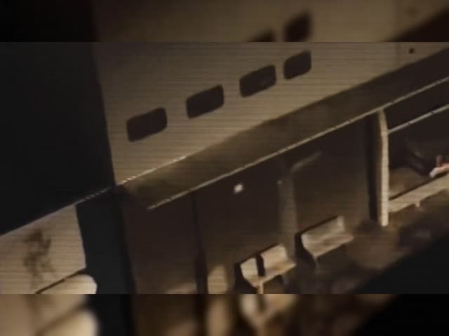 EntreLobos_Parte_1de3_BrasilParalelo