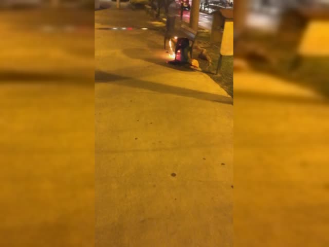 trim.D3331317-B2E0-470A-B1E6-214C4113170E.MOV