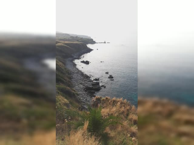 Briatico