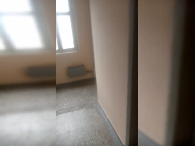 VID_20231107_145500.mp4
