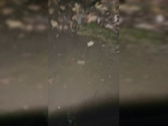 VID20230919004745.mp4