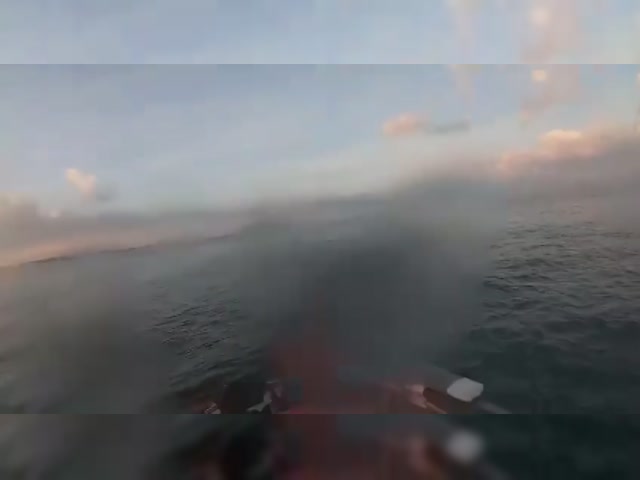 Israel shooting drowning Palestinians