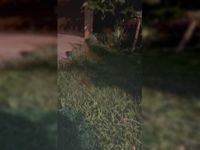 trim.AA70B15F-2158-4225-ACE4-0EC93DA009E4.MOV