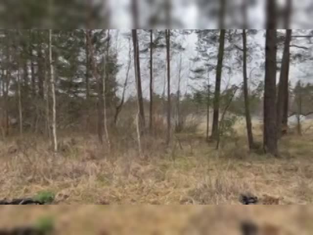 aPgx2GR_460sv.mp4