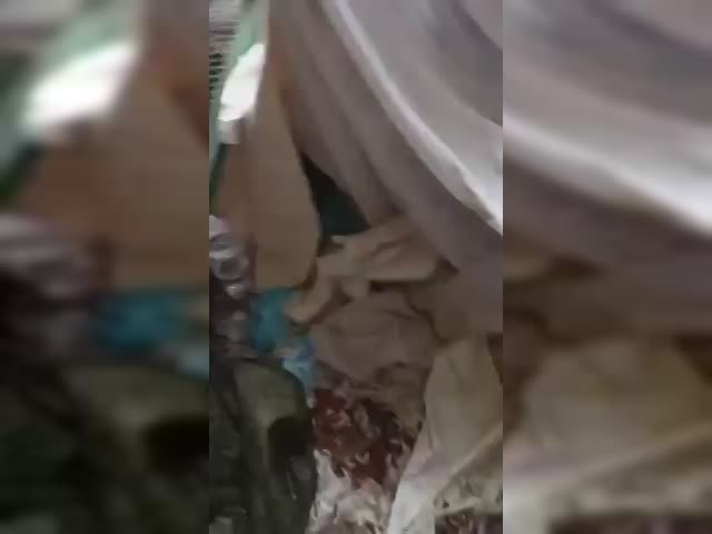 videoplayback (2).mp4