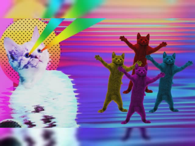 cats