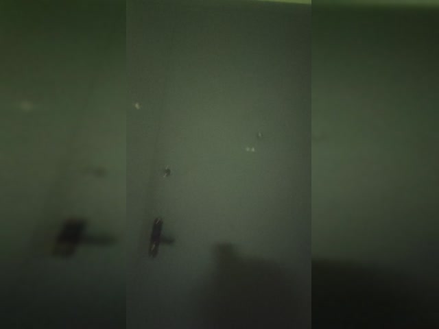 Pupllfjfjjrnrnrn